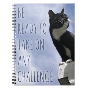 Carnet Prêt Pour Un Challenge Chat Motivational Slogan
