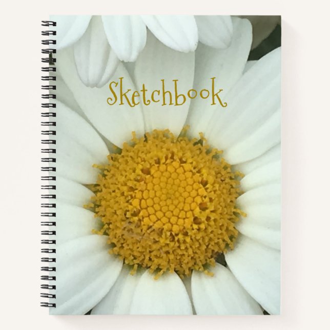 Carnet Pretty Daisy Sketch (Devant)
