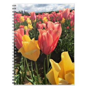 Carnet Pretty Spring Tulips in a Field, Oregon