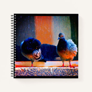 Carnet Prévenir les pigeons