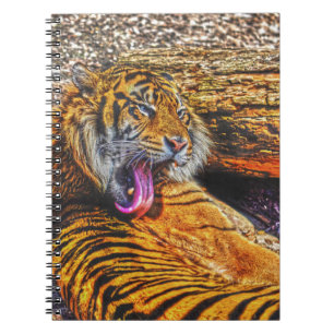 Carnet Prévenir Tigre de Sumatran Big Cat Art de la faune
