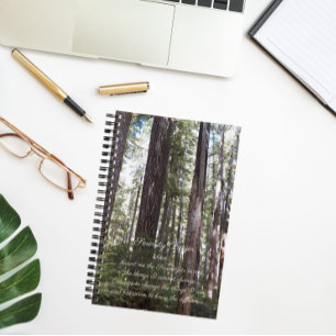 Carnet Prière de sérénité inspirée Forêt ensoleillée