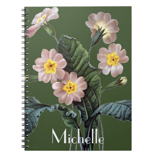 Carnet Primevère (primevère Aucalis) (Devant)
