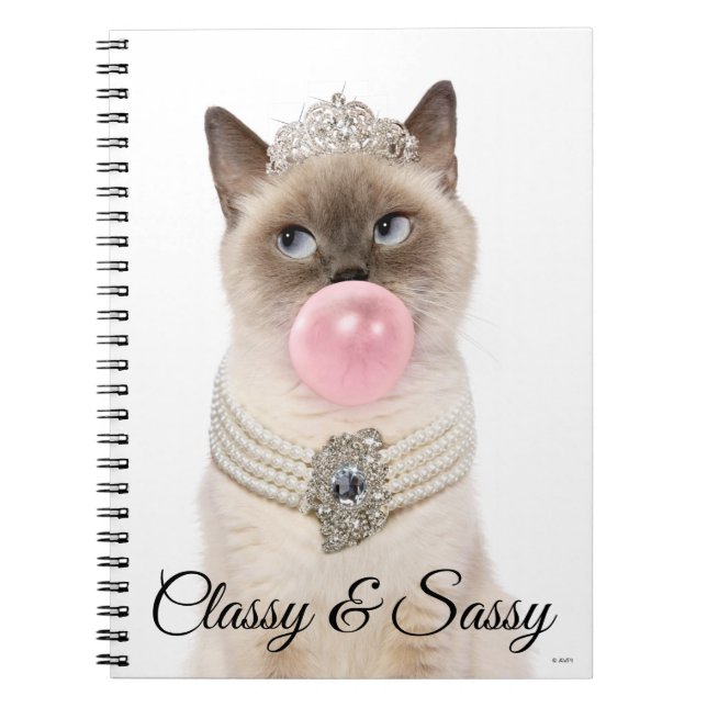 Carnet Princesse Chat soufflant de bulle gomme (Devant)