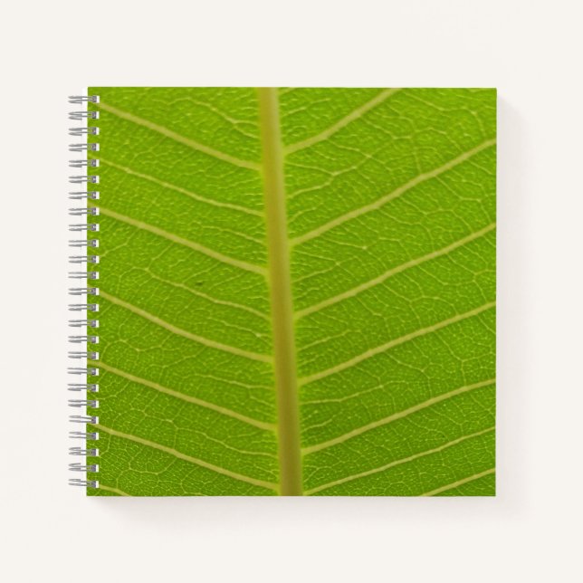 Carnet Printemps (Devant)