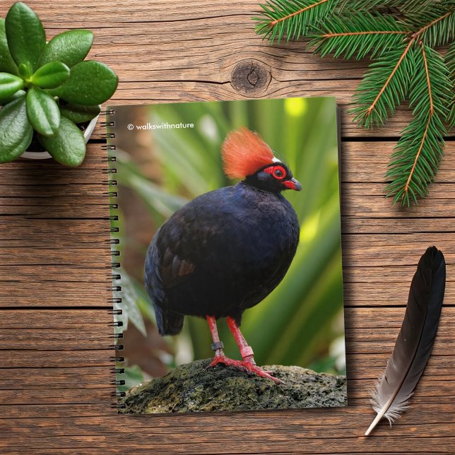 Carnet Profil d'une perdrix de bois à roul (Profile of a Roul-Roul Wood Crested Partridge Journal Cover Photo)