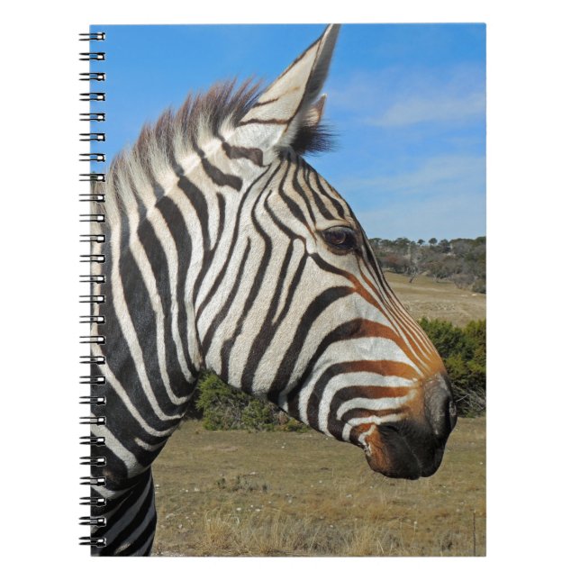 Carnet Profil Zebra de Hartmann à Fossil Rim (Devant)