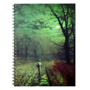 Carnet Promenade au clair de lune