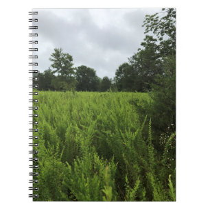 Carnet Promenade dans la forêt, Chester, Caroline du Sud