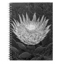 Carnet Protea noir et blanc