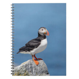 Carnet Puffin Atlantique en Machias, Maine