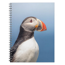 Carnet Puffin Atlantique en Machias, Maine