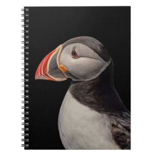 Carnet Puffin Atlantique en Machias, Maine