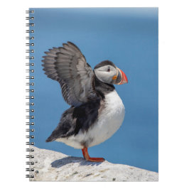 Carnet Puffin de l'Atlantique à Machias, ME