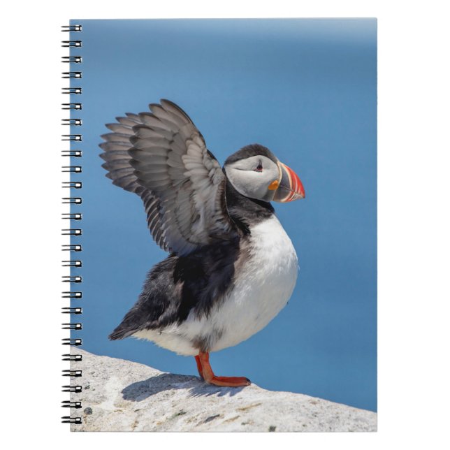 Carnet Puffin de l'Atlantique à Machias, ME (Devant)