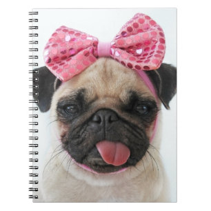 Carnet Pug with Pink Bow
