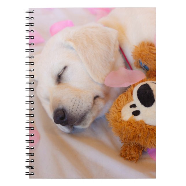 Carnet Puppy cuddles 02 (Devant)