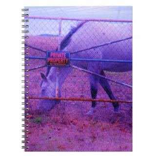 Carnet Purple Propriété Privée Horse