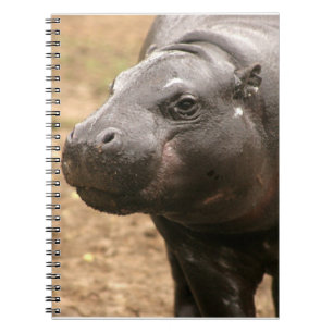 Carnet pygméen d'hippopotame