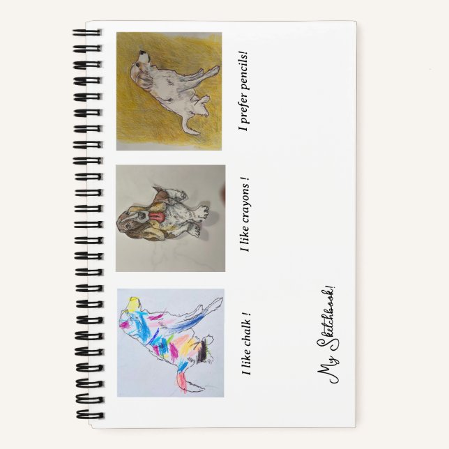 Carnet Pyrénées, Bassett Hound Rainbow Chig Sketbook (Recto)