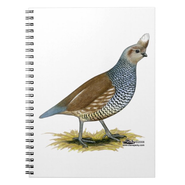 Carnet Quail à échelle (Devant)