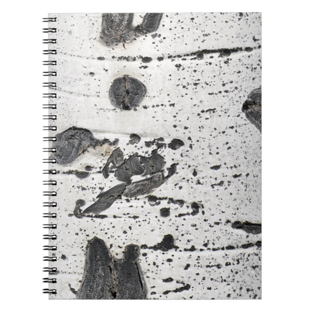 Carnet Quaking Aspen Bark Gros plan (Devant)