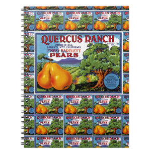 Carnet Quercus Ranch Pears multi-print