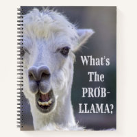 Qu'est-ce que le Prob-Llama ? Jote Drôle LLAMA