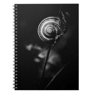 Carnet queue de l'escargot