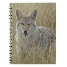 Carnet R2 Coyote en herbe haute