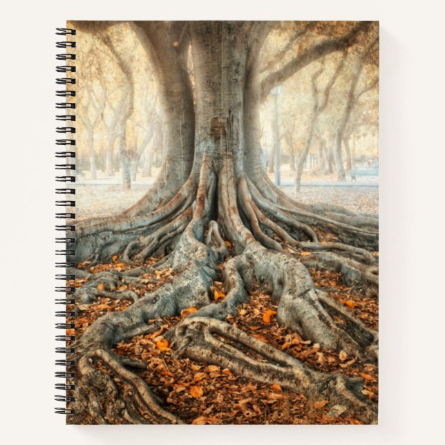 Carnet Racines de l'arbre antique (Devant)