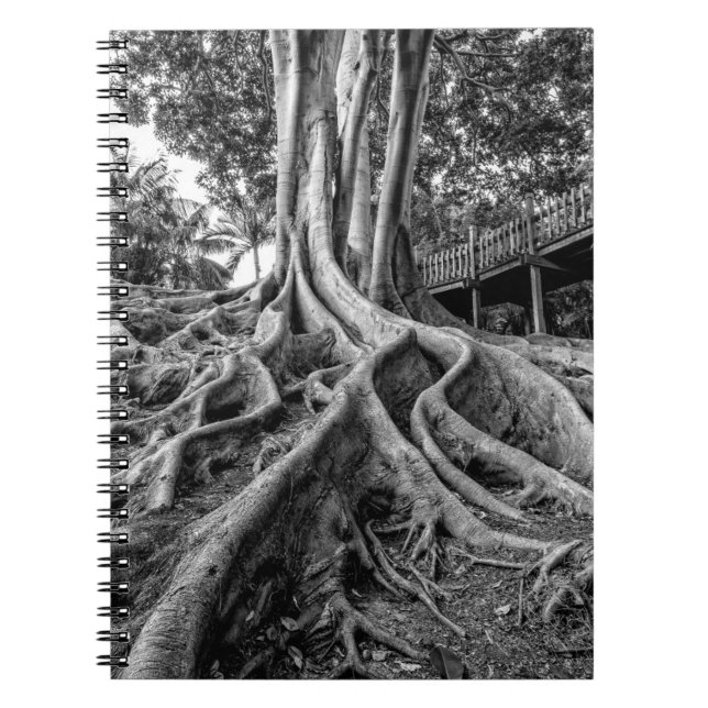 Carnet Racines massives de caoutchouc (Devant)