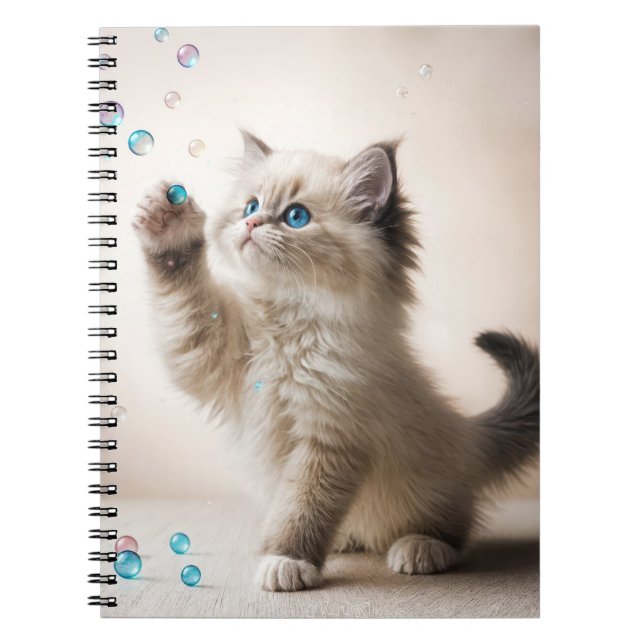 Carnet Ragdoll Kitten Jouer Avec Des Bulles De Savon (Devant)