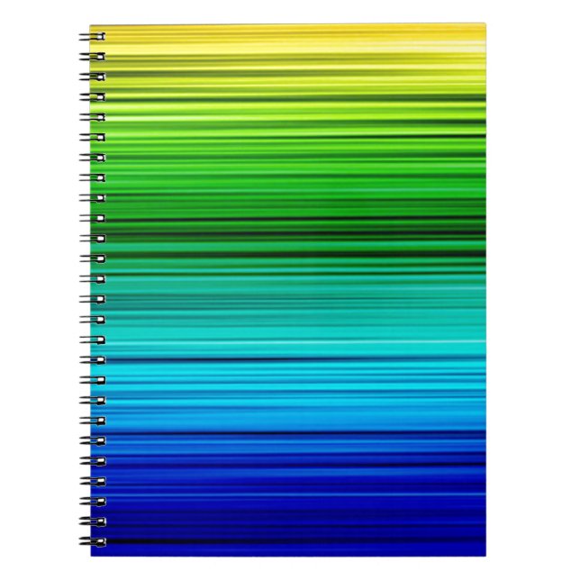 Carnet Rainobw (Devant)