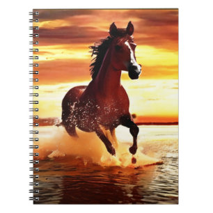 Carnet Randonnée À Cheval Sauvage À Travers Le Surf