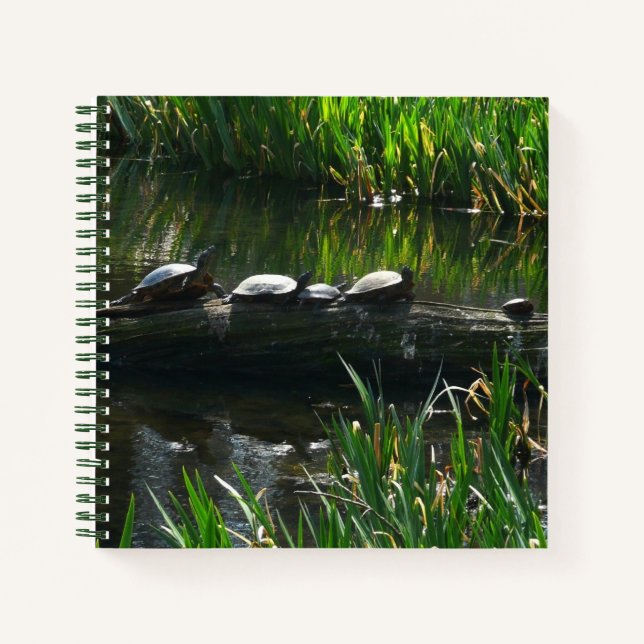 Carnet Rangée de tortues Green Nature Photo (Devant)
