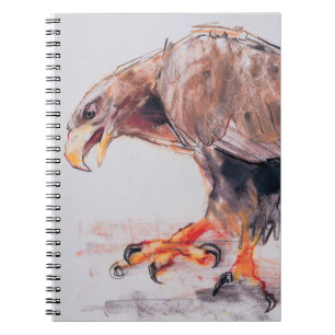 Carnet Raptor 2001