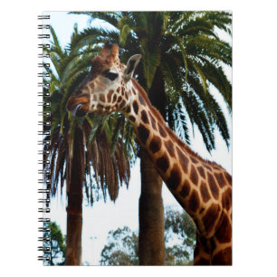 Carnet Raspberry de Giraffe,