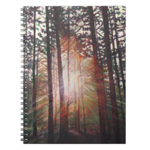 Carnet Rayon de soleil 2010