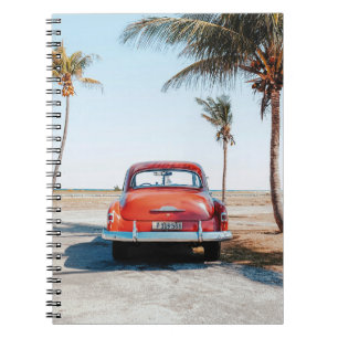 Carnet Re coléoptère à côté des cocotiers