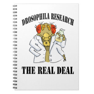 Carnet Recherche de drosophile