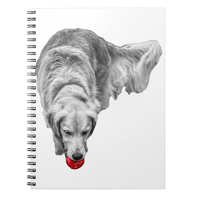 Carnet Récolter les réflexions des membres (Devant)