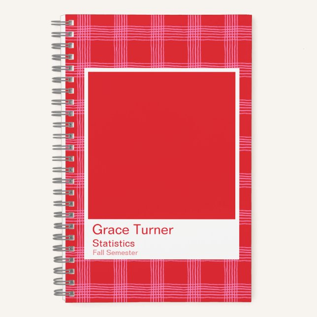 Carnet Red and Pink Illustrated Plaid Notebook (Recto)