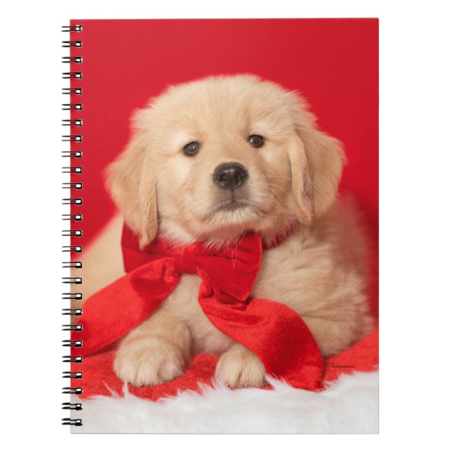 Carnet Red Bow (Devant)
