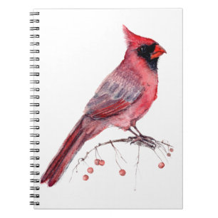 Carnet Red Cardinal Bird