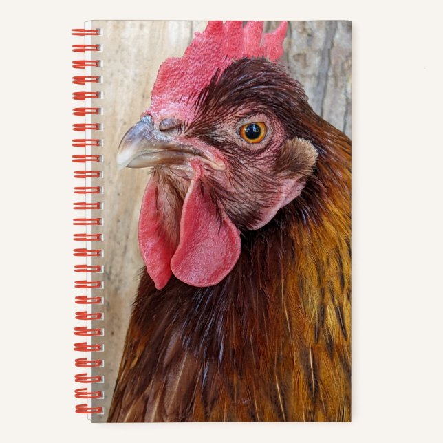 Carnet Red Chicken Hen Photo (Recto)