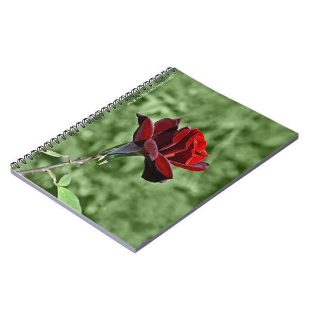 Carnet Red Rose (Côté gauche)