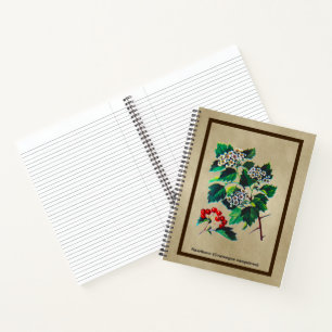Carnet Redhaw Hawthorn sur vieux papier