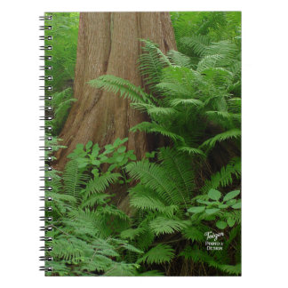 Carnet Redwood & Ferns