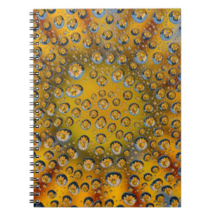 Carnet reflet de goutte de rosée de fleur, Crescent City,